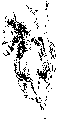 www.KatharinaWitthaus.de